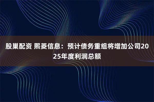 股巢配资 熙菱信息：预计债务重组将增加公司2025年度利润总额