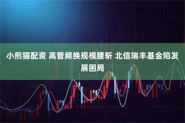小煎猫配资 高管频换规模腰斩 北信瑞丰基金陷发展困局