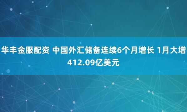 华丰金服配资 中国外汇储备连续6个月增长 1月大增412.09亿美元